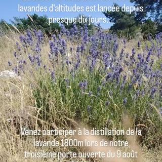 Profiter de cette période estivale pour venir vous poser, découvrir et vous (re)connecter avec la Nature. Retrouvez le programme complet sur notre Instagram et site internet Les Senteurs du Claut. Renseignements beau 04.93.02.10.72. Prenez soin de VOUS Et Pro fi tez de chaque instant. #lessenteursduclaut #distillateurdebonheur #latoursurtinee